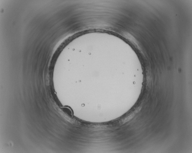 X0000062670924200601181857