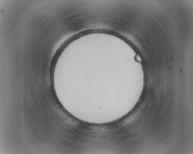 X0000062670927200601181857