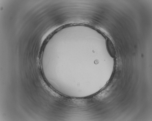 X0000062670928200601181857