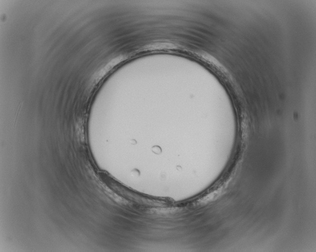 X0000062670929200601181857