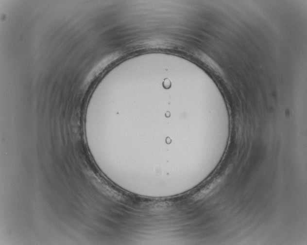 X0000062670930200601181857