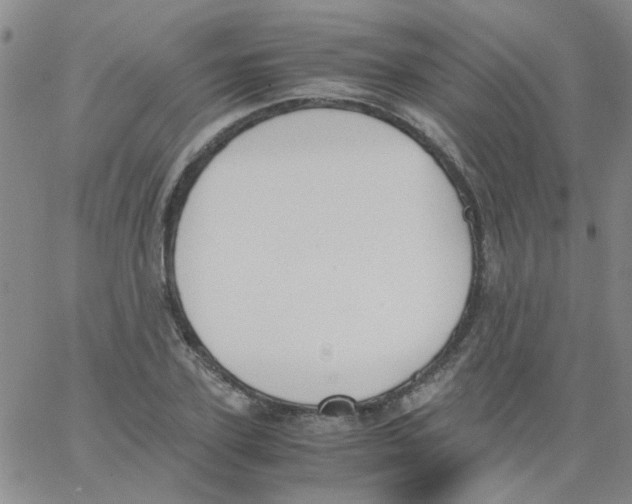 X0000062670931200601181857