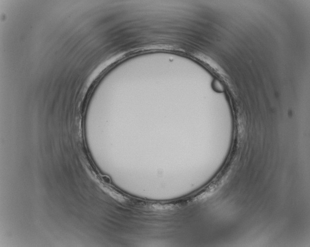 X0000062670933200601181857