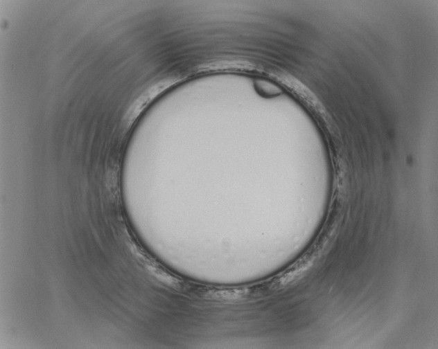 X0000062670937200601181857