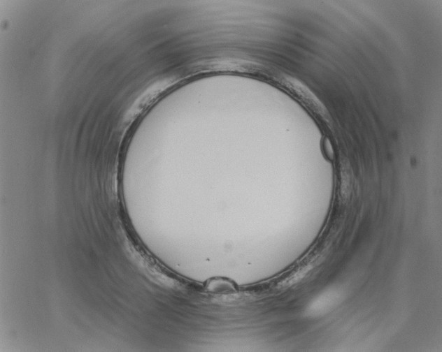 X0000062670938200601181857