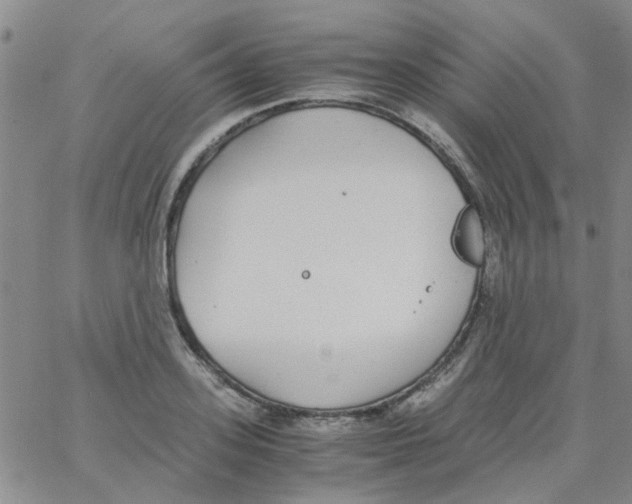 X0000062670939200601181857