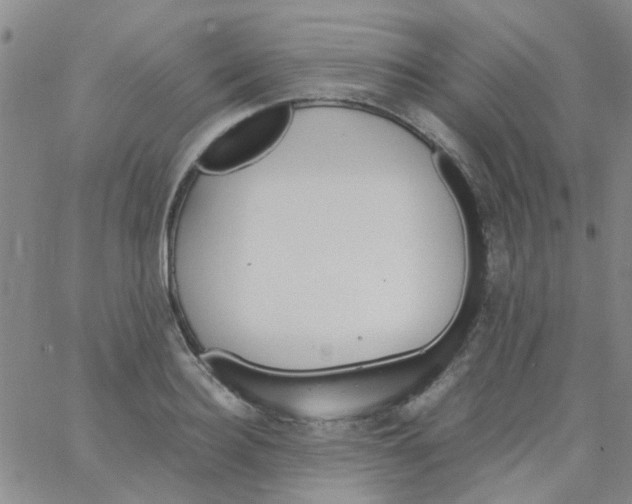 X0000062670940200601181857