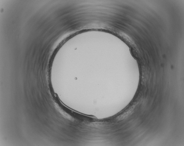 X0000062670942200601181857