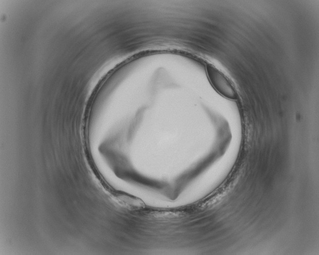 X0000062670943200601181857