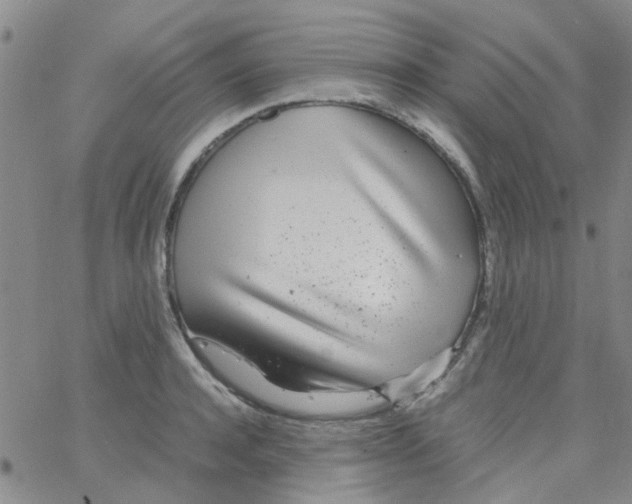 X0000062670944200601181857