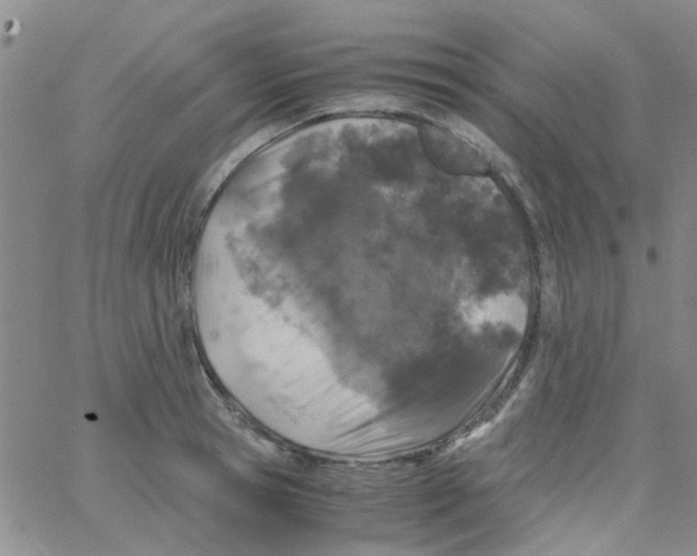 X0000062670945200601181857