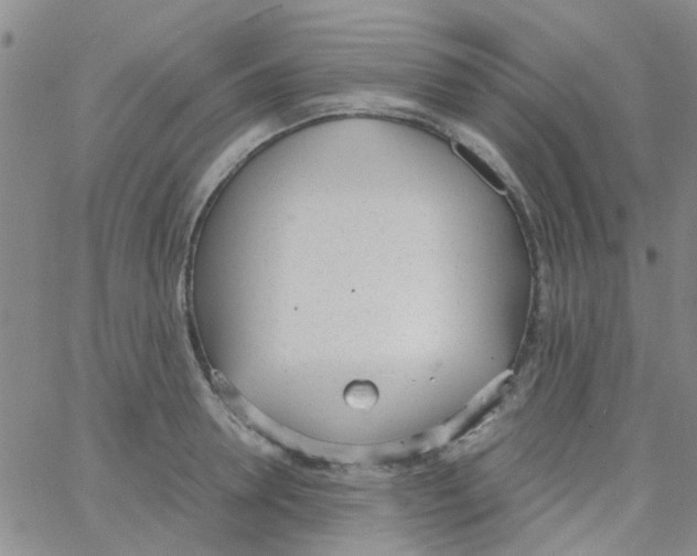 X0000062670946200601181857