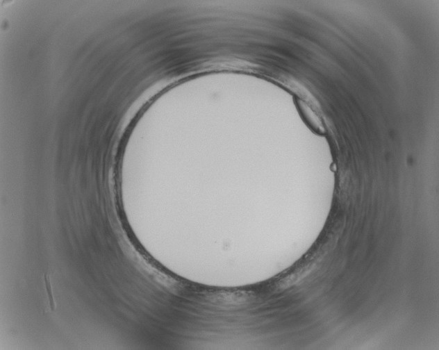 X0000062670947200601181857