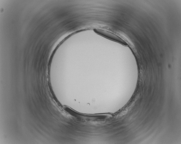 X0000062670948200601181857