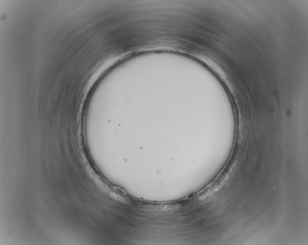 X0000062670949200601181857