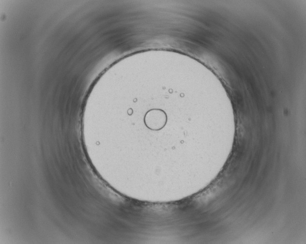 X0000062670950200601181857