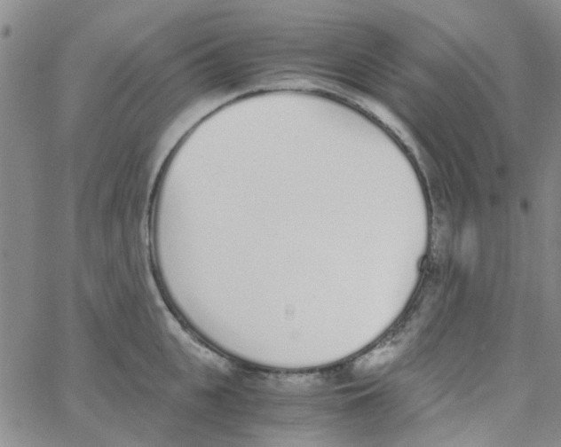 X0000062670951200601181857