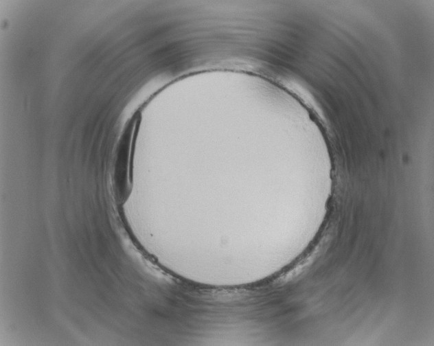 X0000062670952200601181857