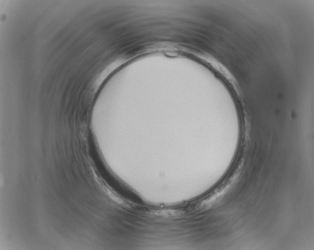 X0000062670953200601181857