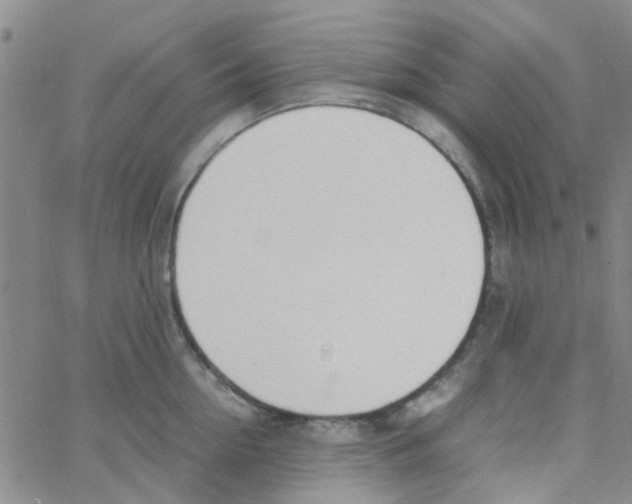 X0000062670954200601181857