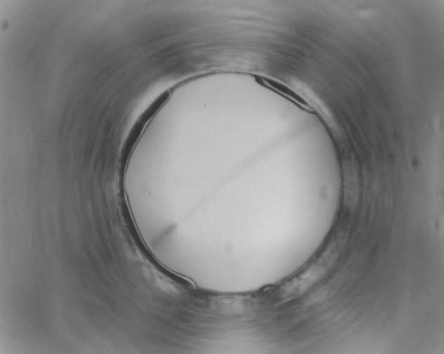 X0000062670956200601181857