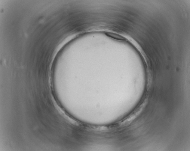 X0000062670957200601181857