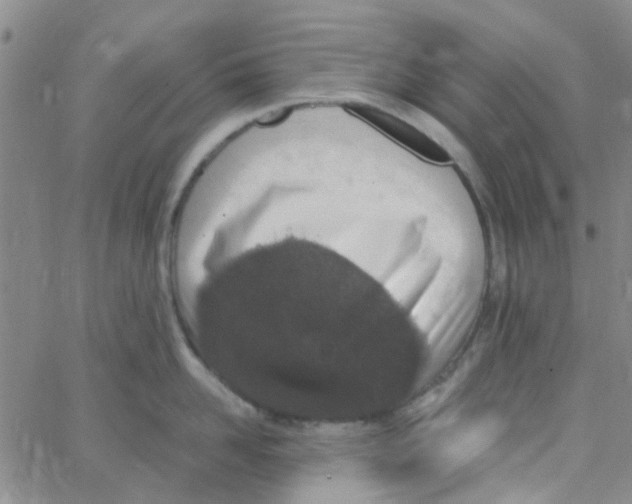 X0000062670958200601181857