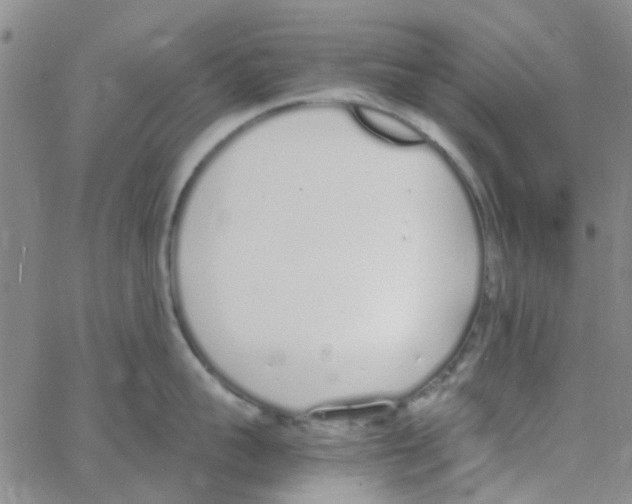 X0000062670959200601181857