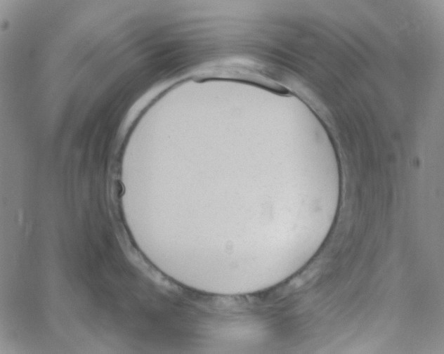 X0000062670960200601181857