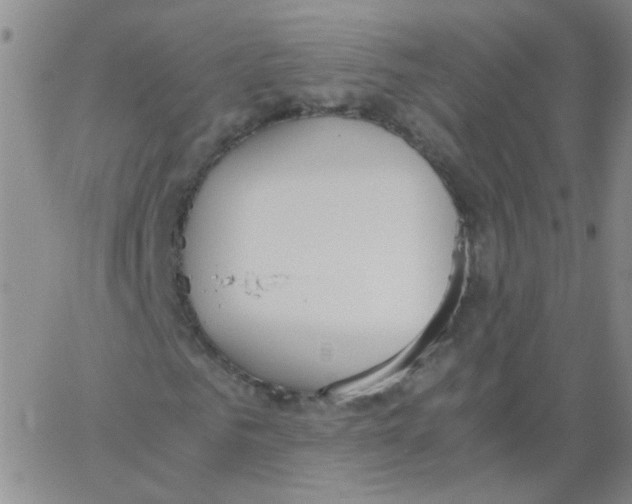 X0000062670961200601181856