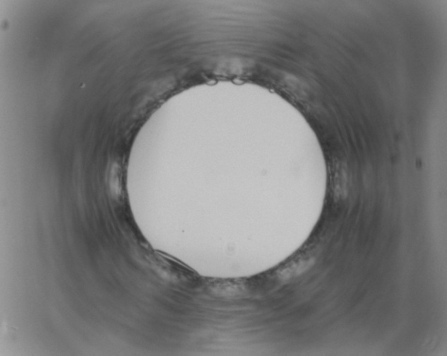 X0000062670962200601181856