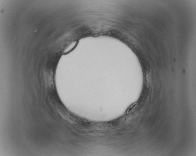 X0000062670963200601181856