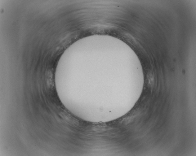 X0000062670964200601181856