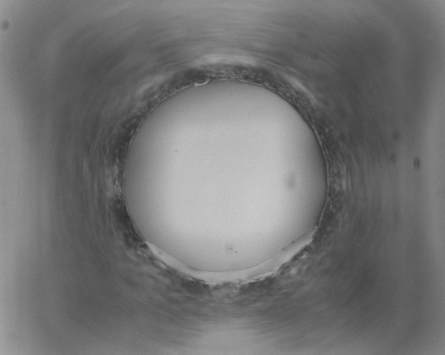 X0000062670965200601181856