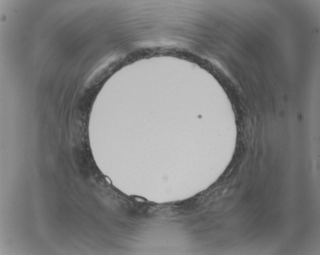 X0000062670967200601181856