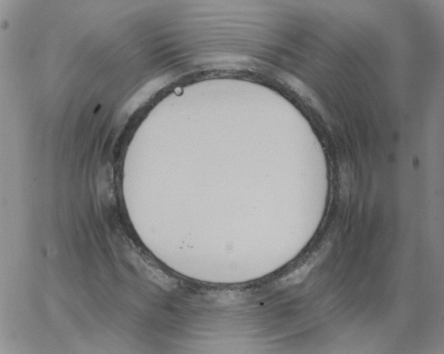 X0000062670970200601181856