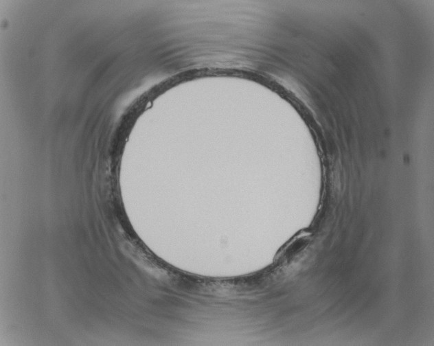 X0000062670971200601181856