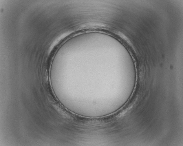 X0000062670973200601181856