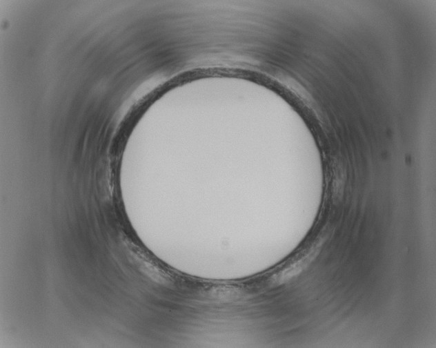 X0000062670974200601181856