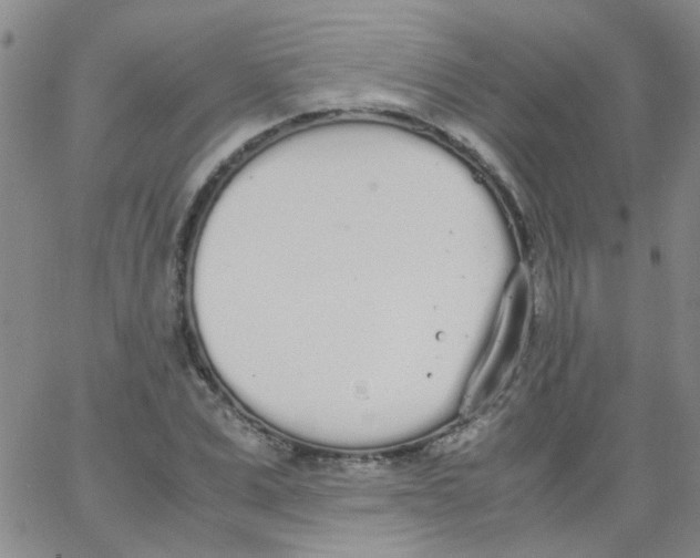 X0000062670975200601181856