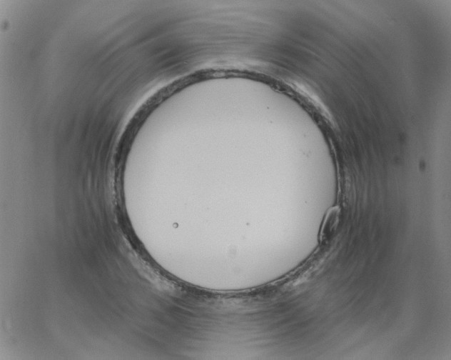 X0000062670976200601181856