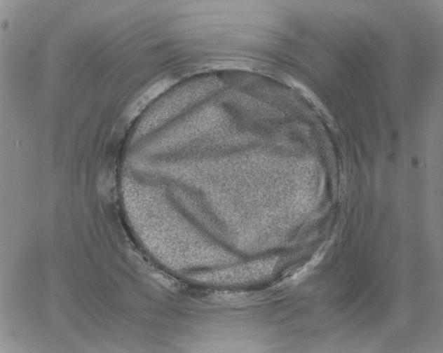 X0000062670977200601181856