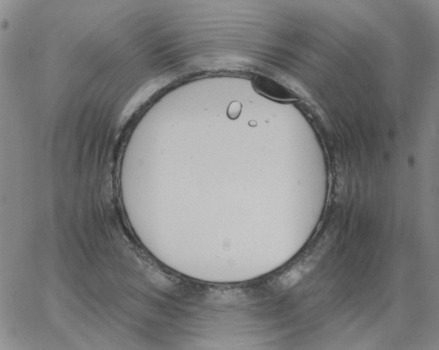 X0000062670978200601181856