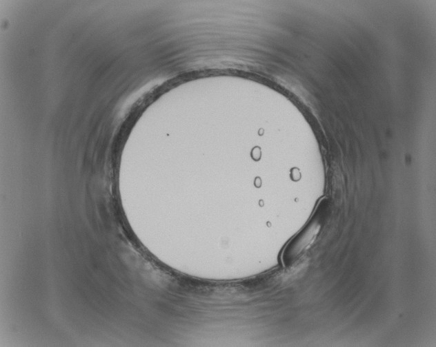 X0000062670979200601181856