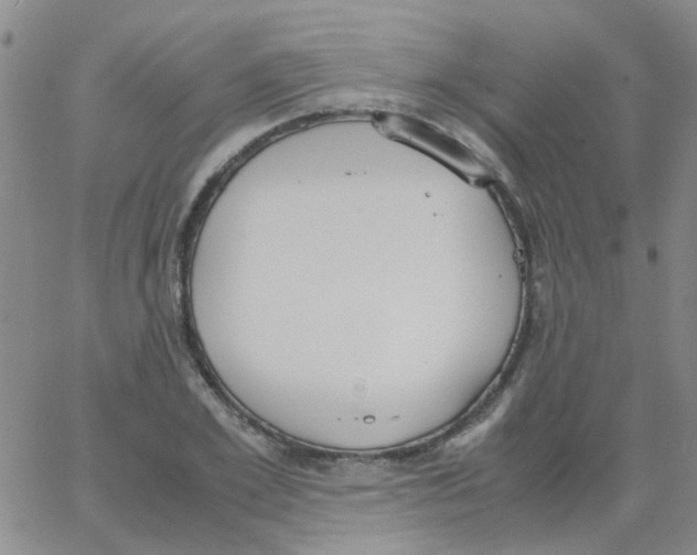 X0000062670981200601181856