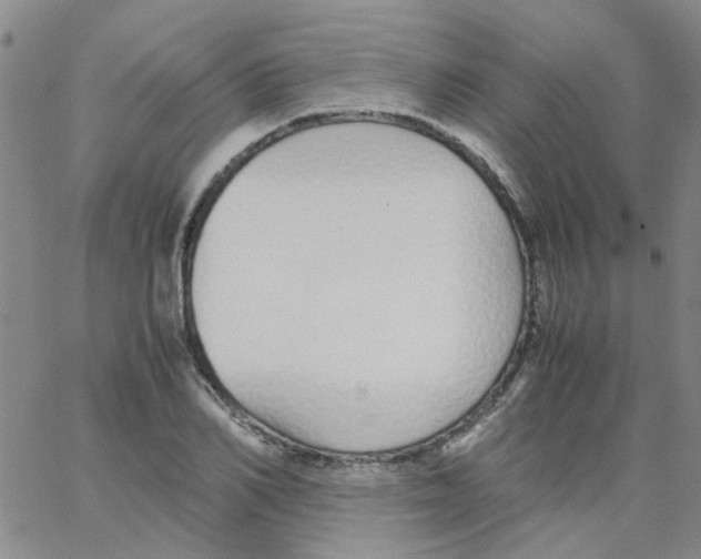 X0000062670982200601181856