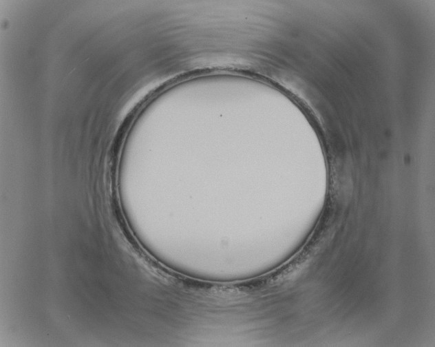 X0000062670983200601181856