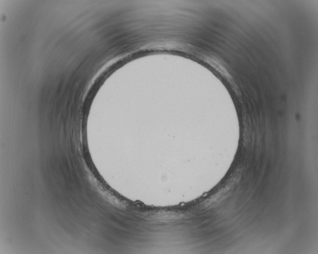 X0000062670984200601181856