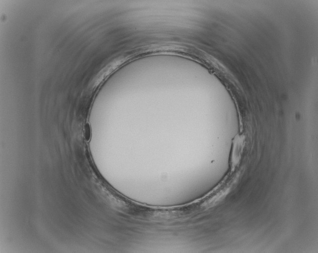 X0000062670985200601181856