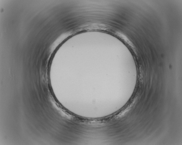 X0000062670986200601181856